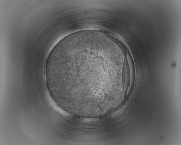 X0000111840843200909031701