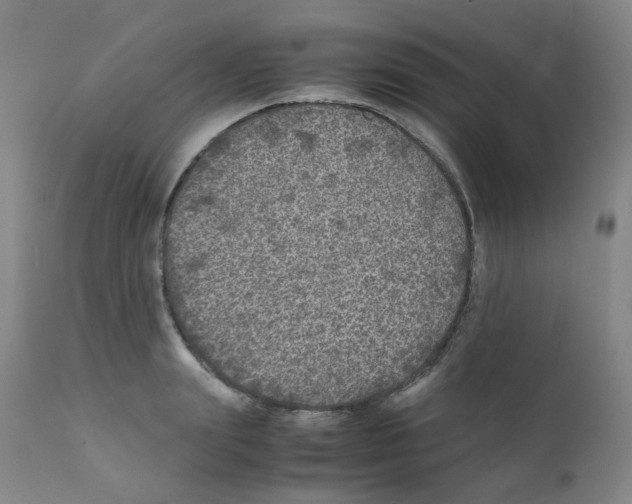 X0000111840847200909031701