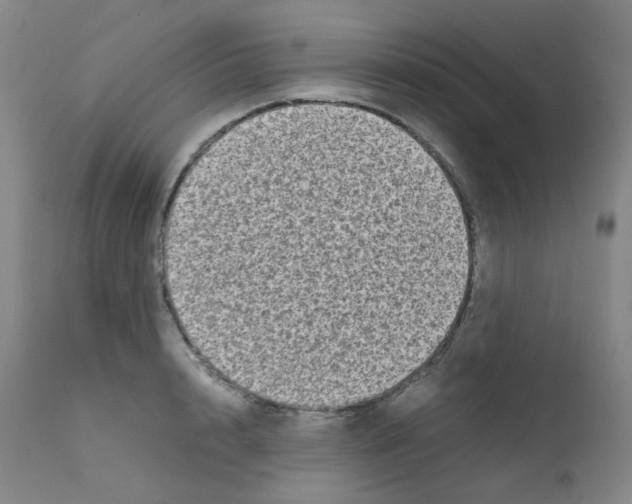 X0000111840848200909031701