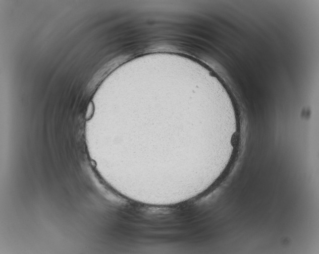 X0000111840849200909031701