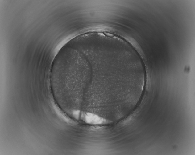 X0000111840850200909031701