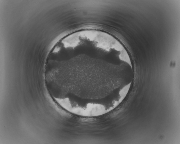 X0000111840853200909031702