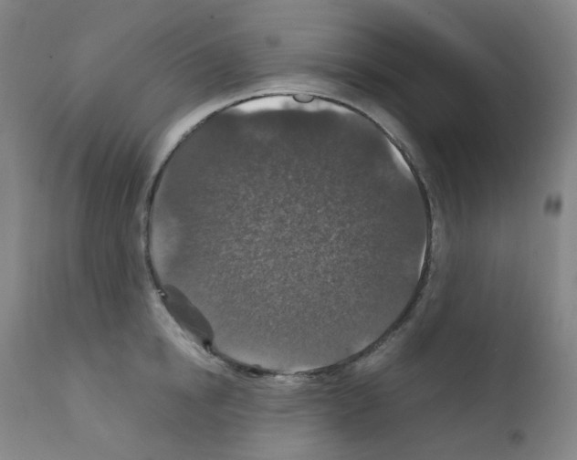 X0000111840854200909031702