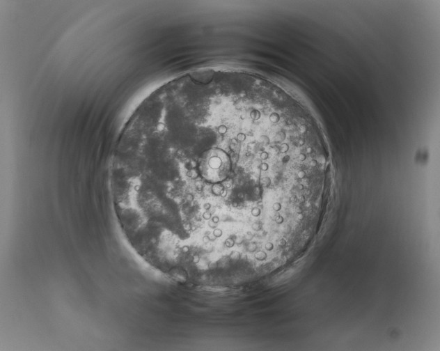 X0000111840855200909031702