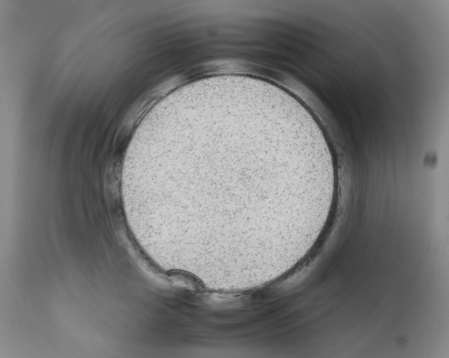 X0000111840857200909031702