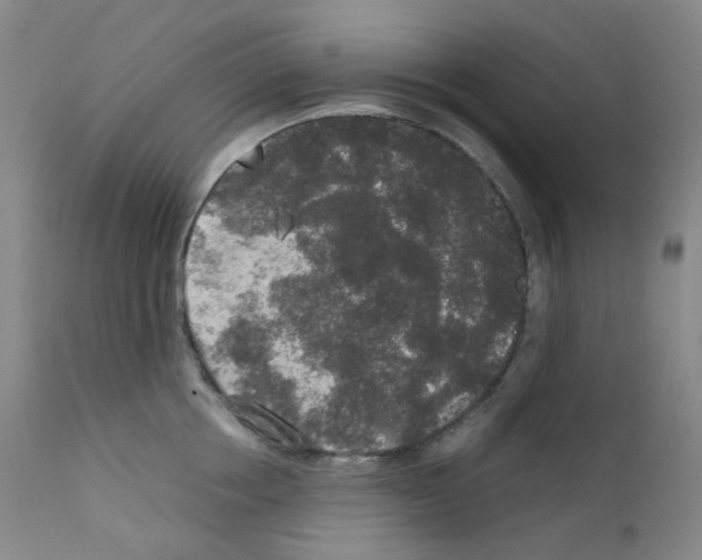 X0000111840858200909031702