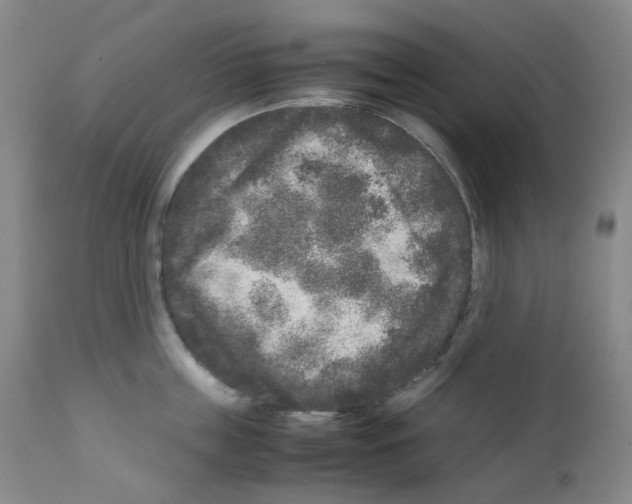 X0000111840859200909031702