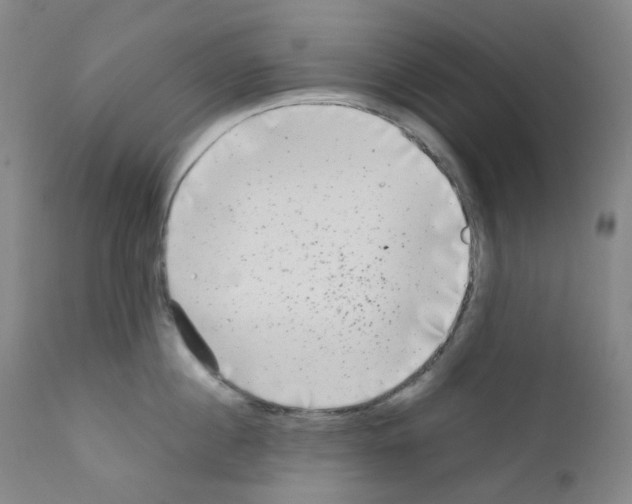 X0000111840860200909031702