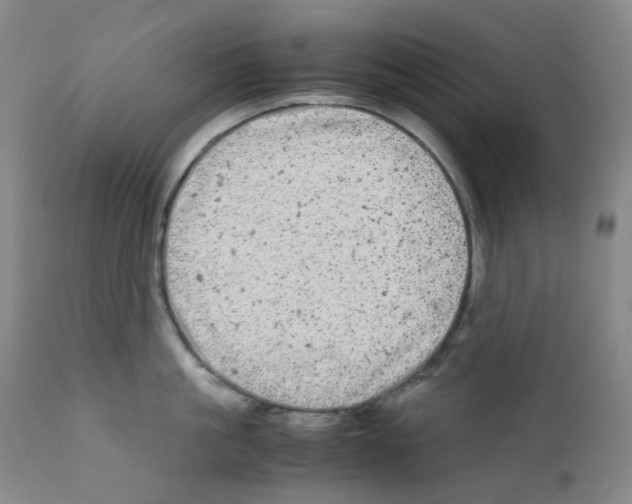 X0000111840861200909031702