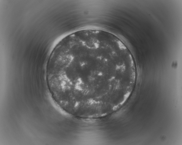 X0000111840862200909031702