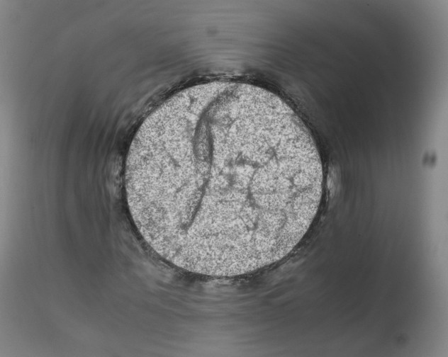 X0000111840867200909031701