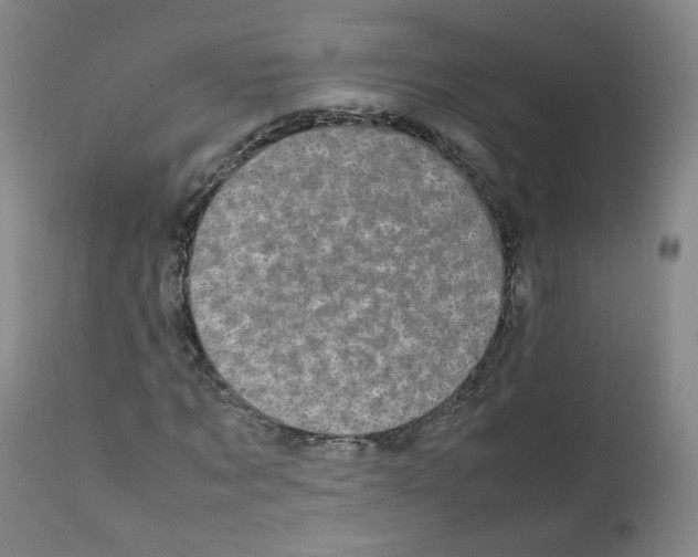 X0000111840869200909031701