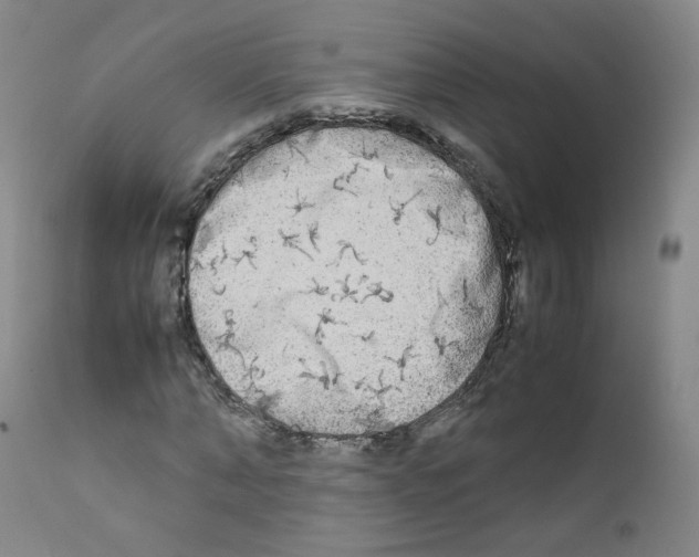 X0000111840870200909031701