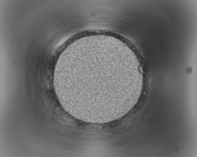 X0000111840871200909031701