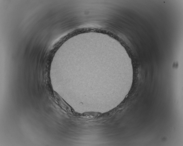 X0000111840872200909031701