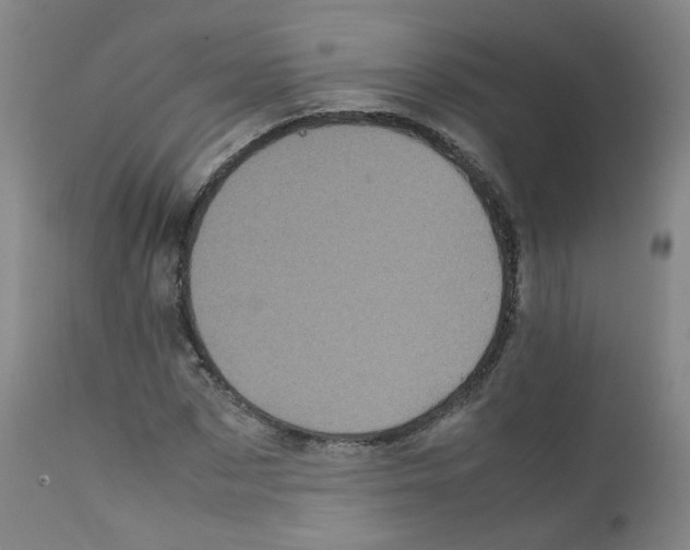 X0000111840873200909031701