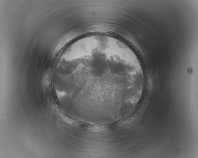 X0000111840874200909031701