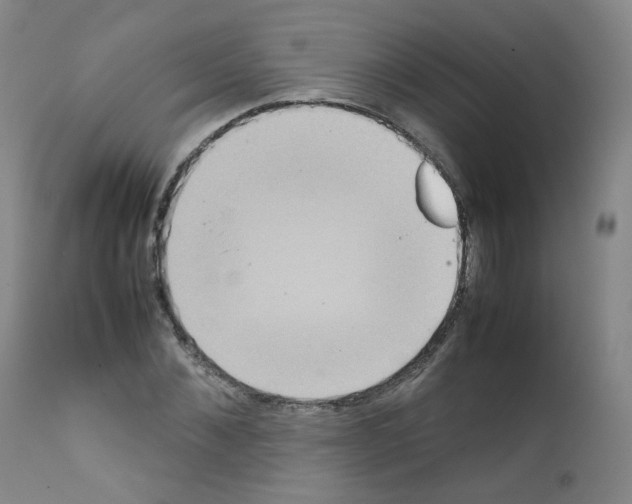 X0000111840876200909031701