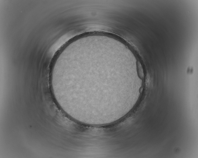 X0000111840877200909031701