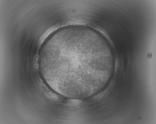 X0000111840878200909031701