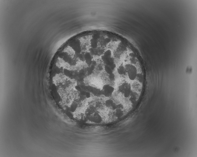 X0000111840879200909031700