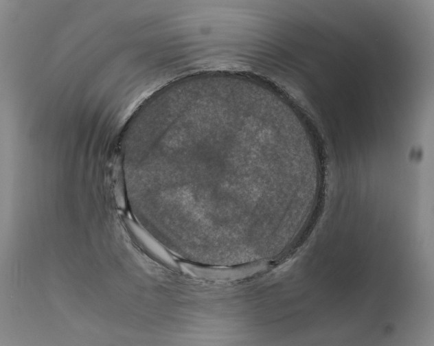 X0000111840881200909031700