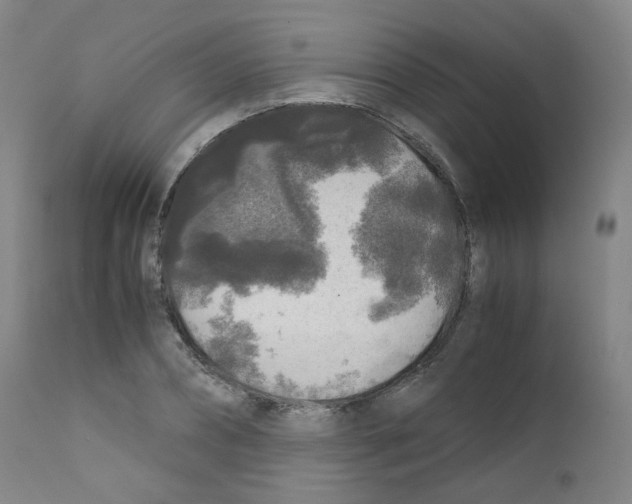 X0000111840882200909031700