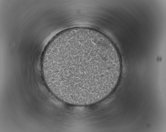 X0000111840883200909031700