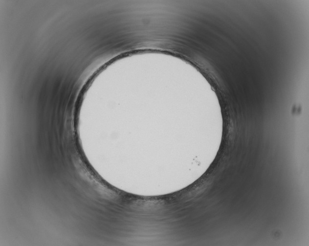 X0000111840884200909031700