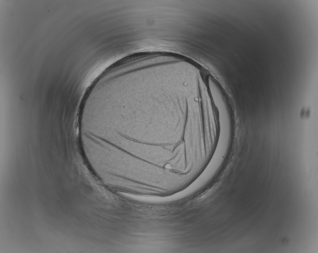 X0000111840885200909031700