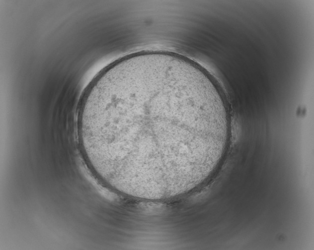 X0000111840886200909031700