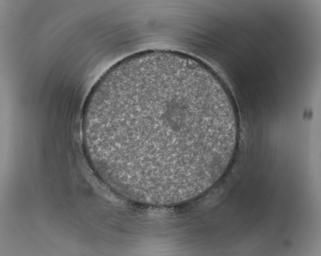 X0000111840887200909031700