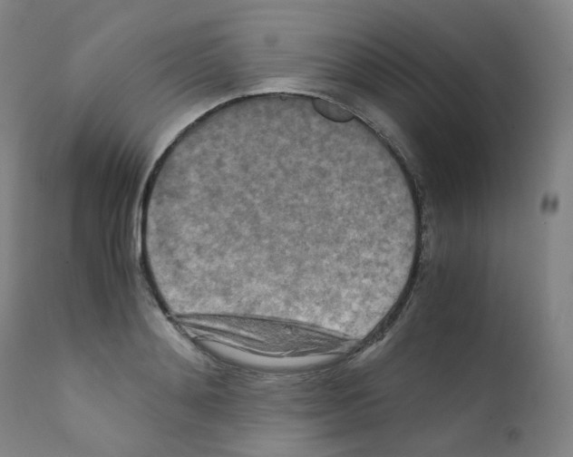 X0000111840892200909031700