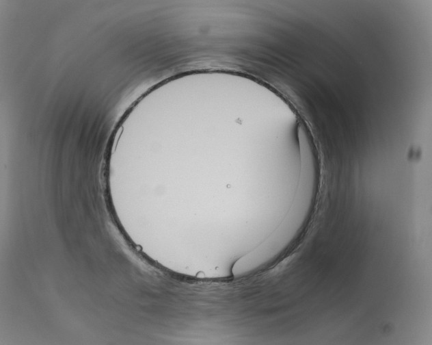 X0000111840893200909031700