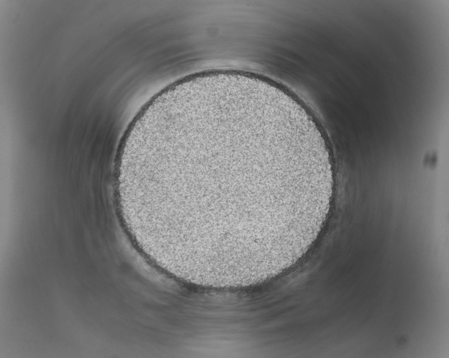 X0000111840895200909031700