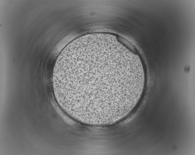 X0000111840897200909031700