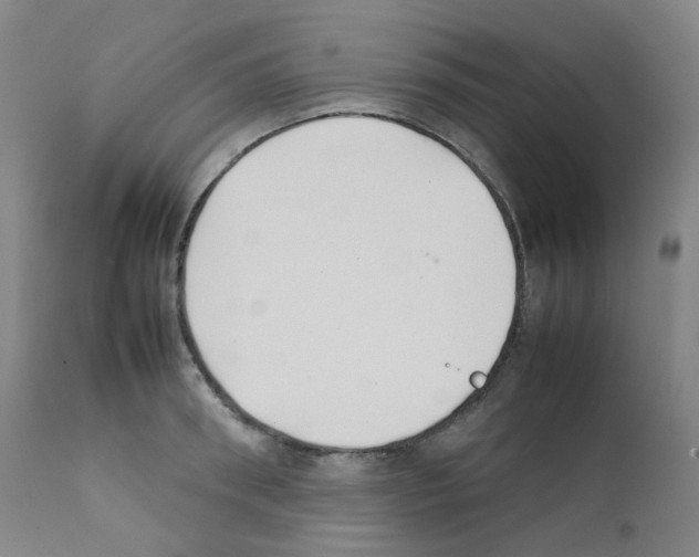 X0000111840898200909031700