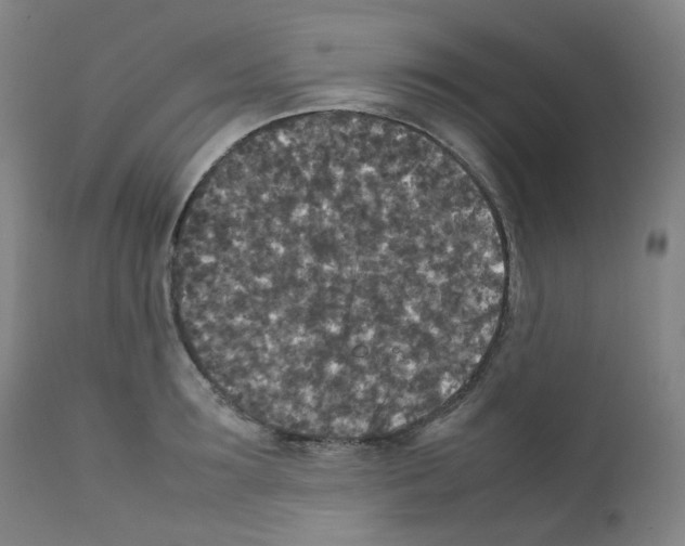 X0000111840899200909031700