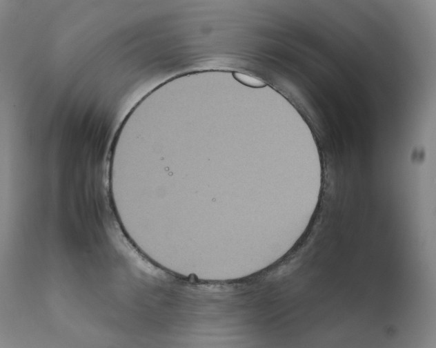 X0000111840900200909031700