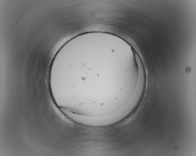 X0000111840901200909031700