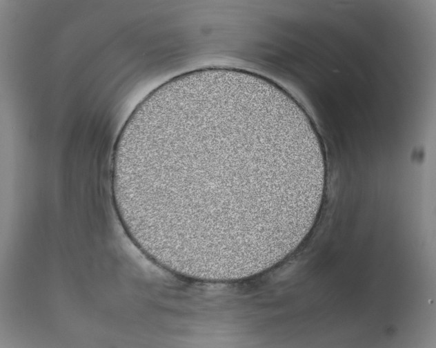 X0000111840903200909031700