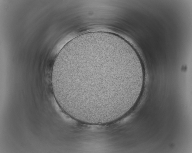 X0000111840905200909031700