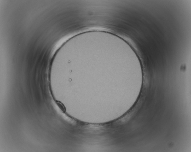 X0000111840910200909031700