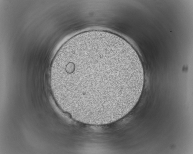 X0000111840911200909031700