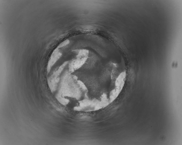 X0000111840913200909031659