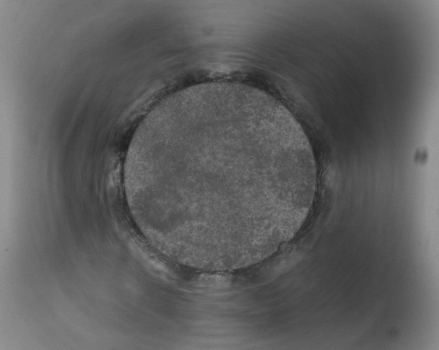 X0000111840914200909031659