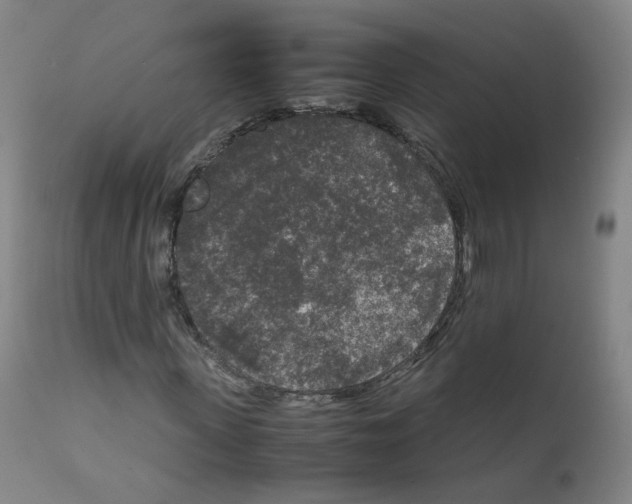 X0000111840915200909031659