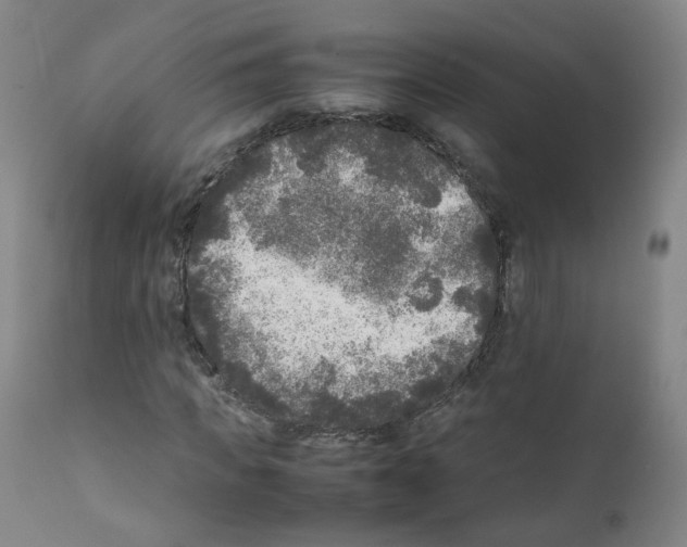 X0000111840917200909031659