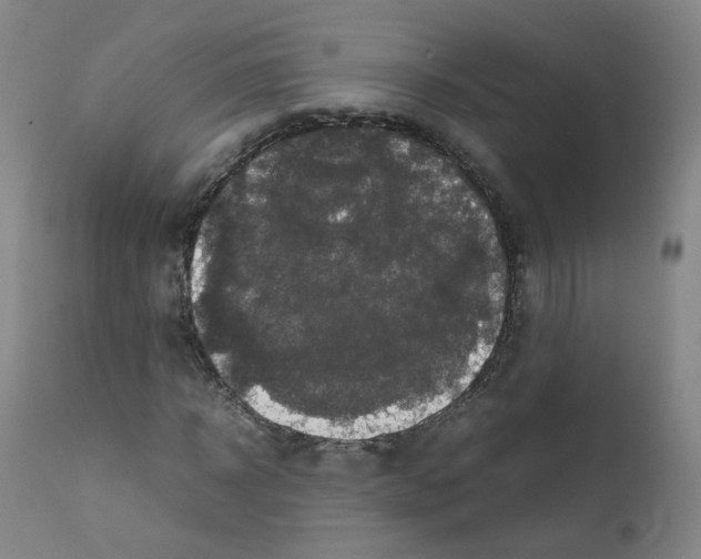 X0000111840918200909031659