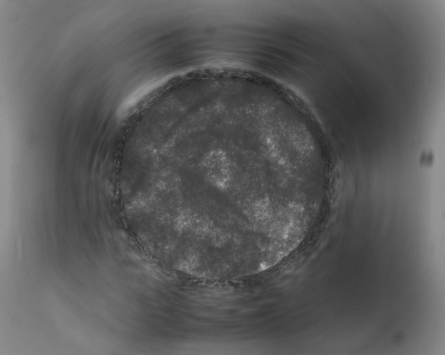 X0000111840919200909031659